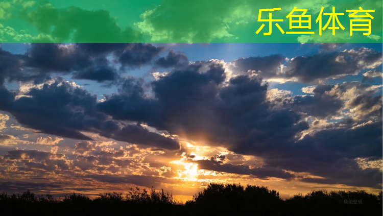 leyu·乐鱼(中国)体育官方网站,环保塑胶跑道检测报告